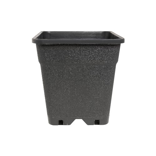 Generisch Profi-Topf 11 Liter vierkant viereckig Pflanztopf Blumentopf - 24 x 24 x 27,5 cm Blumenkübel Pot Grow Topf für Growzelt