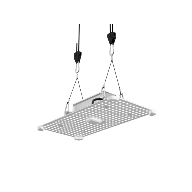 Lumii Black Blade 100 Watt - LED Panel Pflanzenlampe Vollspektrum Growbox Grow Light Pflanzenlicht Zimmerpflanzen