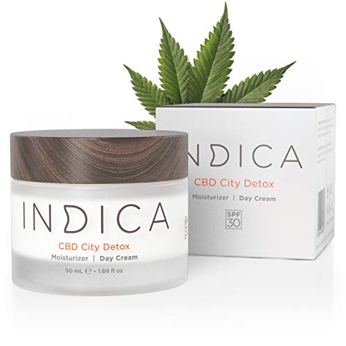 INDICA PREMIUM Tagescreme mit CBD - Höchstdosierte CBD-Creme mit Hanföl - Hochwertige Inhaltsstoffe - Vegane Hanföl-Creme - Sehr gute Hautverträglichkeit - 50 ml