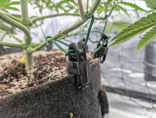 3DGROW 8x LST Clip für Stofftöpfe Low-Stress-Training Zubehör für Grow Box Zelt Schrank für Growbox Homebox Growschrank Spider Farmer Zelsius Vevor Secret Jardin Mars Hydro